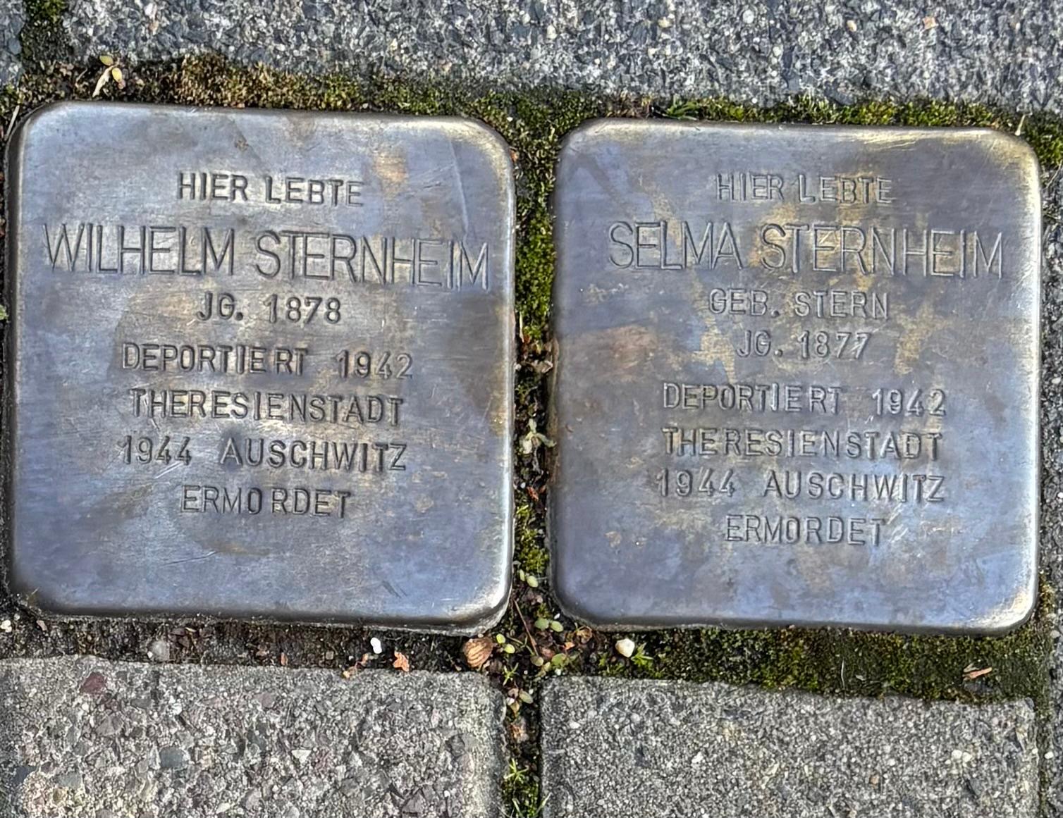 cacf8e09 9d50 484d b09a 931f8e077c02